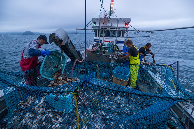 danh-bat-so-diep-aomori